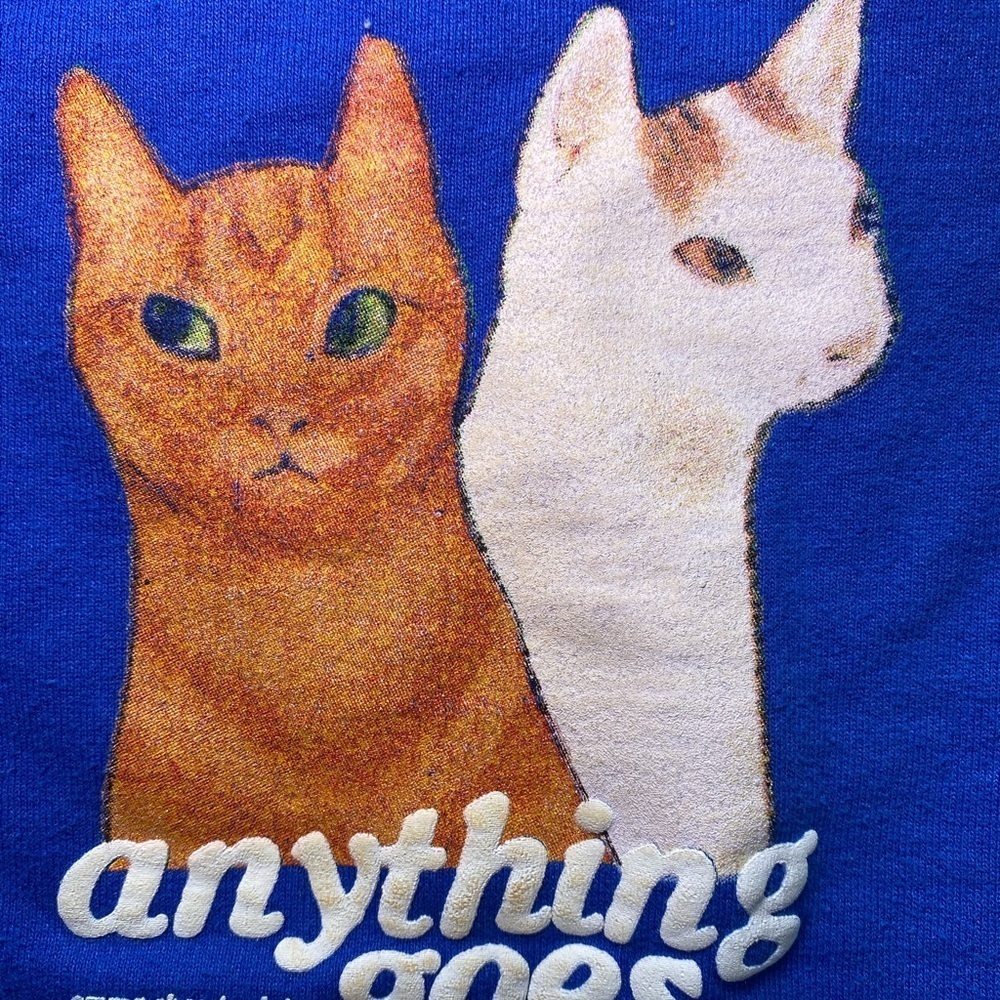 Emma Chamberlain Blue Crewneck Cat Sweatshirt - Picture 13 of 14